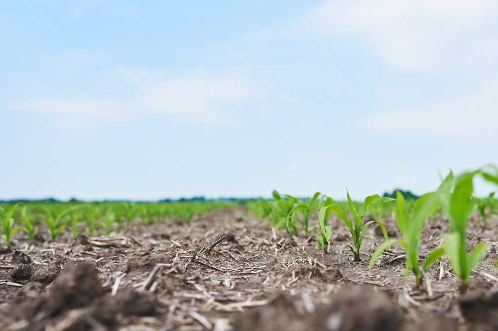 Tractor working in an agricultural field overview